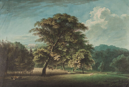 Carl Friedrich Stange, Eichen im Flottbeker Park, um 1825 &copy; SHMH