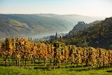 Die Schönburg bei Oberwesel © Kleinromantischer-Rhein-Tourismus-GmbH Henry Tornowie