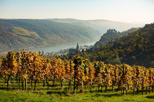 Die Schönburg bei Oberwesel © Kleinromantischer-Rhein-Tourismus-GmbH Henry Tornowie