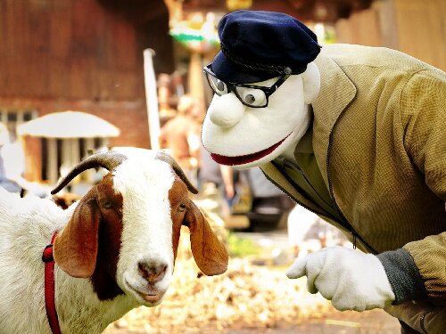 Momsen Tiere Sensationen &copy; Ulfert Becker