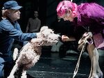 Hundeherz &copy; Thomas Aurin