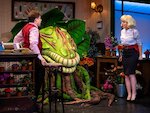 Der kleine Horrorladen © Dennis Mundkowski